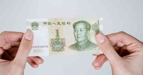 可以访问境外网站的软件